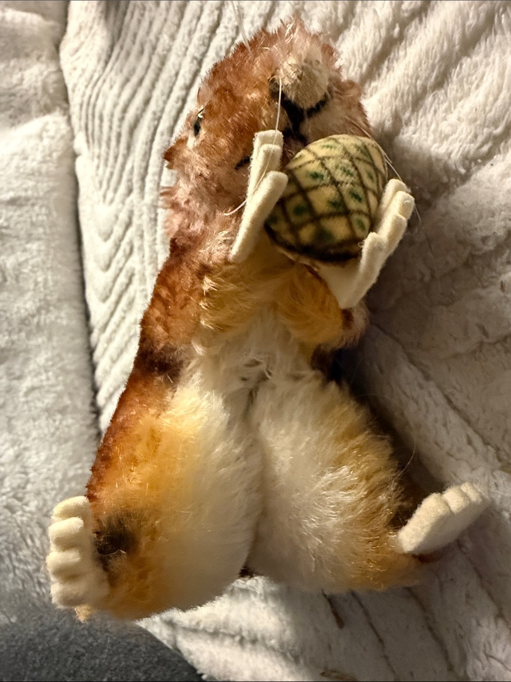 đżď¸ Rare Vintage Steiff Mohair Squirrel w/ Button â 1950s German Plush â - Picture 4 of 9